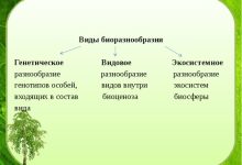 Photo of Как бороться с высокой инфляцией