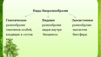 Photo of Как бороться с высокой инфляцией