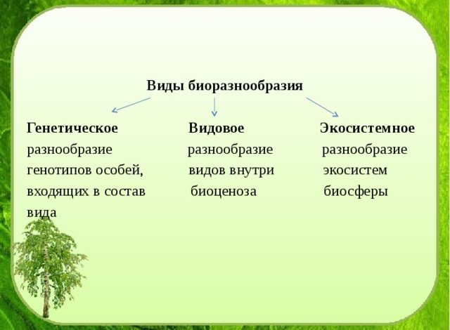 Photo of Как бороться с высокой инфляцией